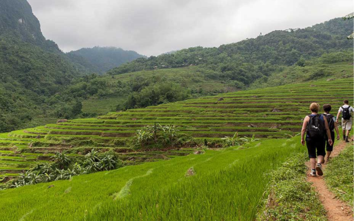 Tour de Aventura Descubra o Norte do Vietnã em 11 Dias