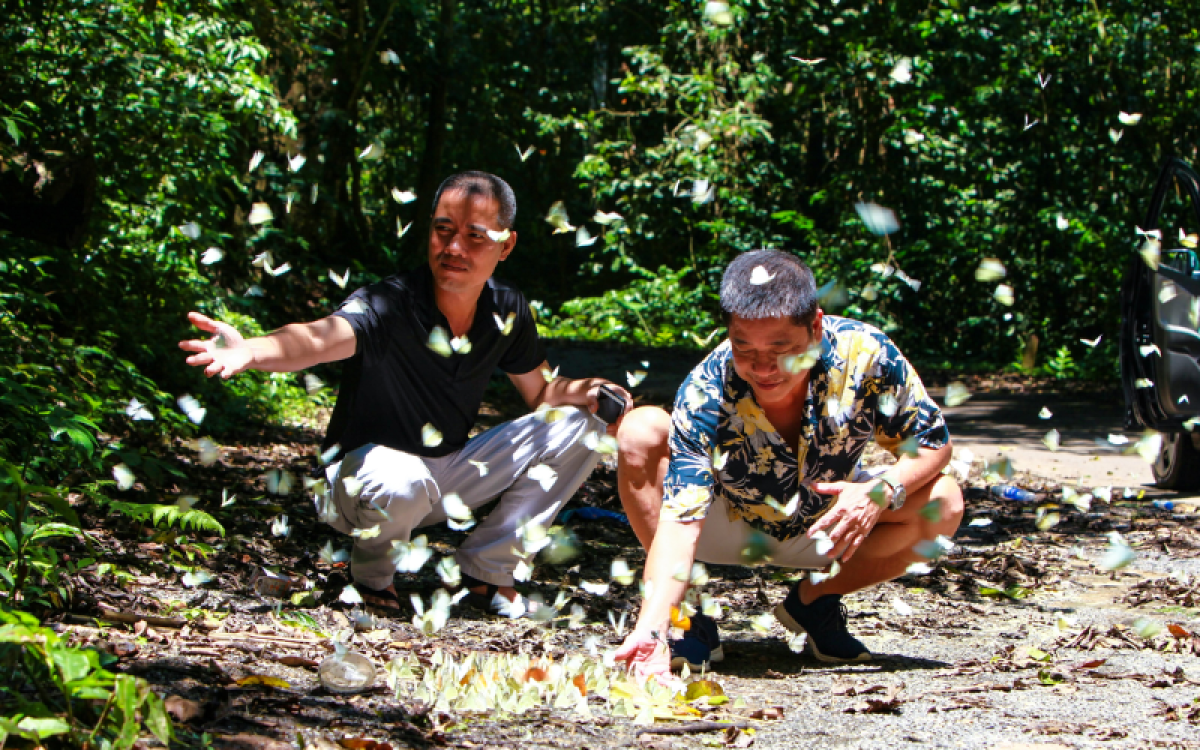 Tour de Aventura Descubra o Norte do Vietnã em 11 Dias