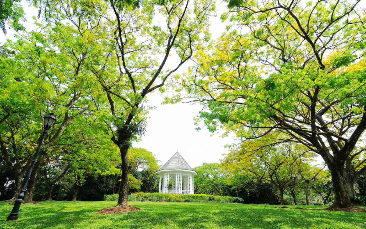 Excursão de 18 Dias pelo Vietnã Tailândia e Singapura
