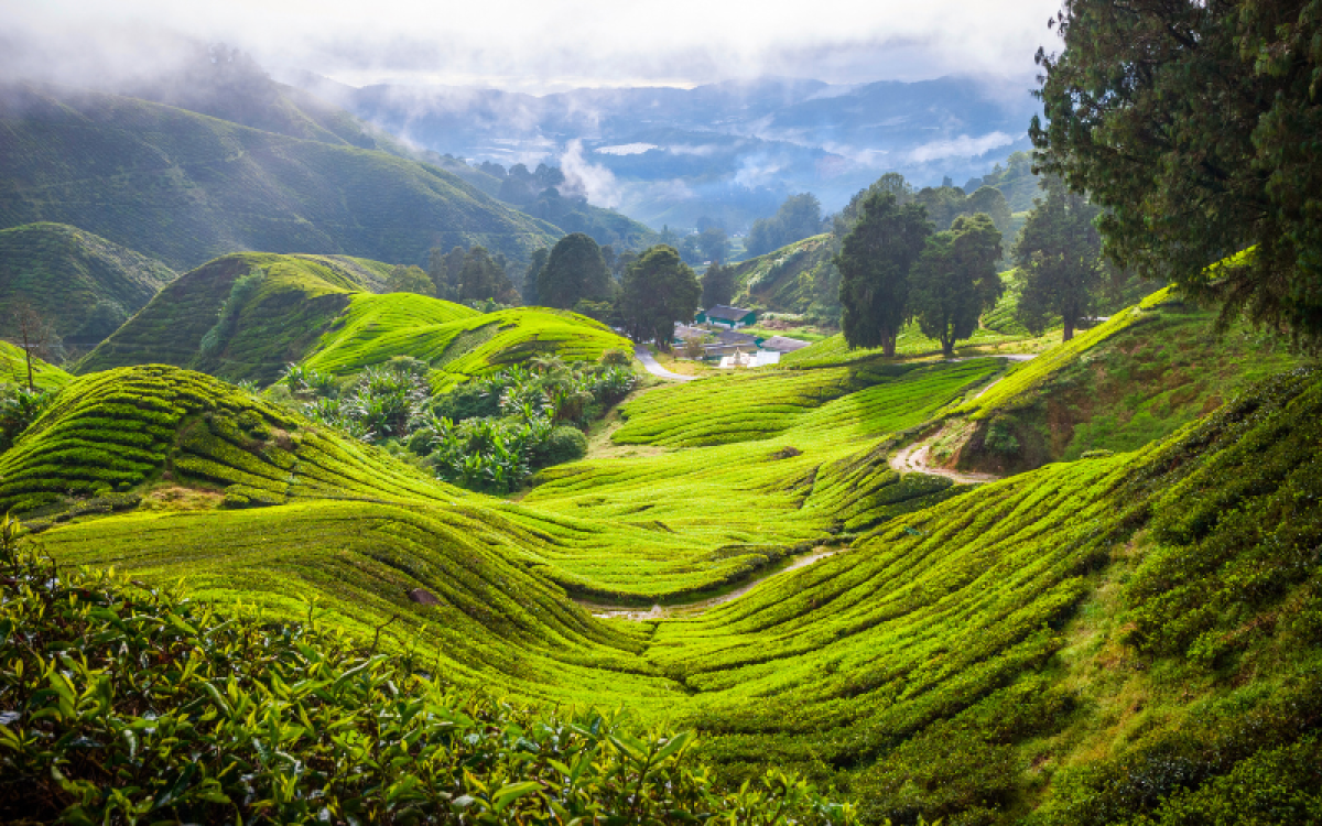 Pacote Clássico da Malásia por 11 Dias