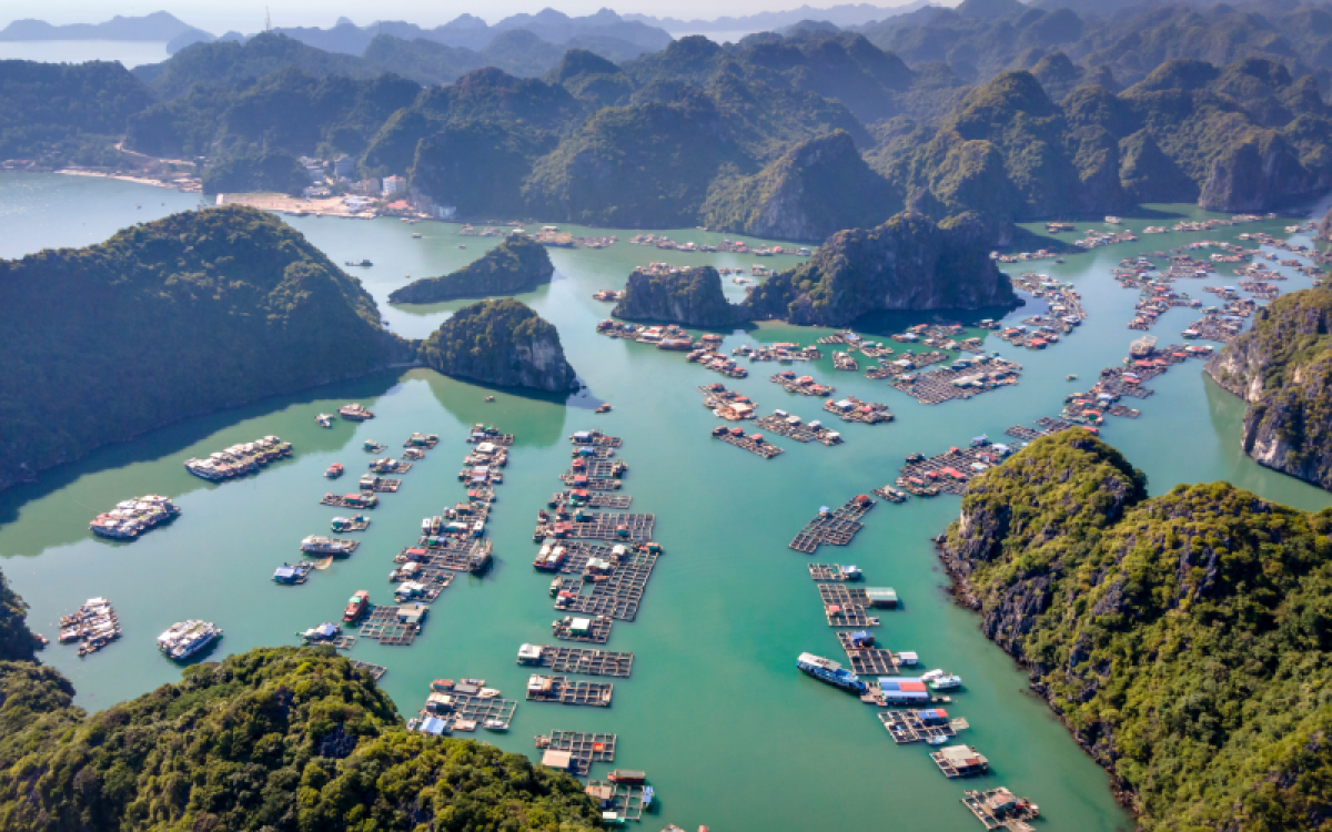 Pacote de Destaques do Vietnã e Laos em 10 Dias