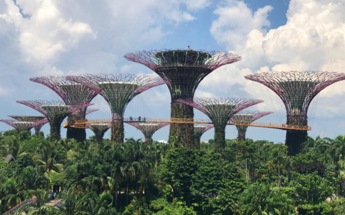 Pacote Singapura para Família em 3 Dias