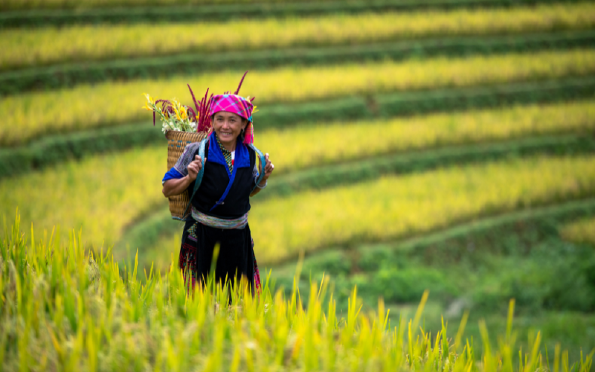 Pacote Turístico de Aventura de 14 Dias no Norte do Vietnã