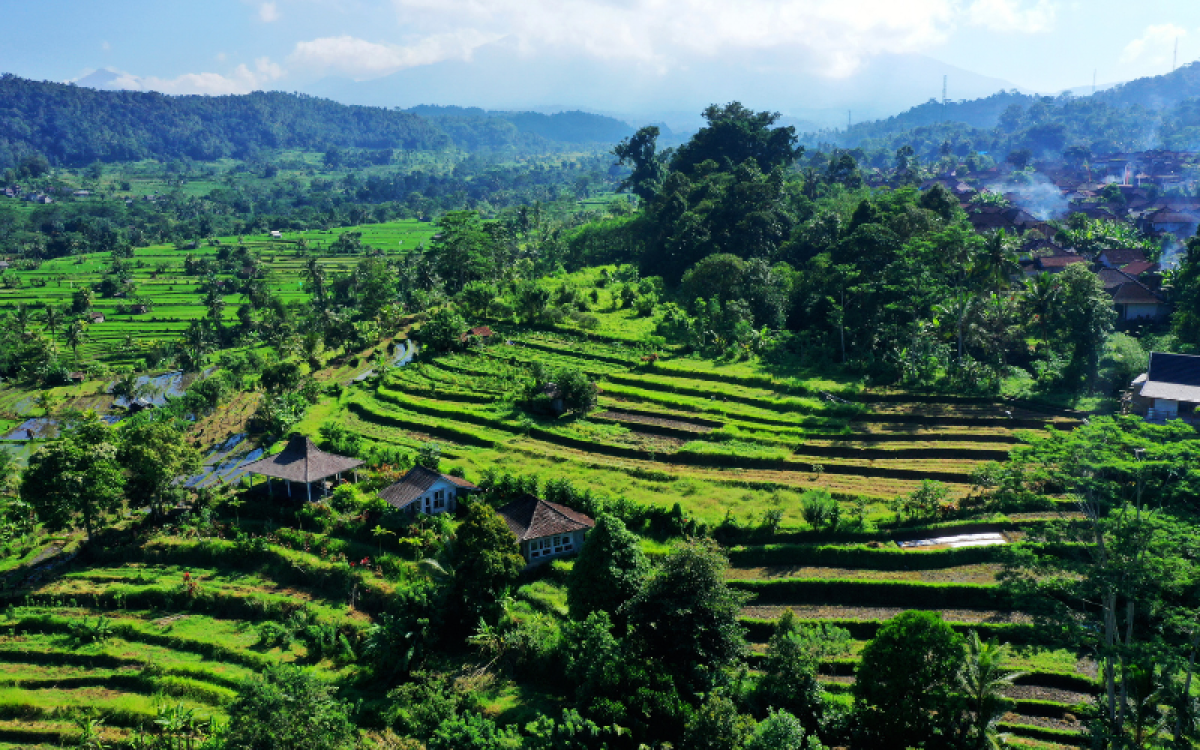 Romance em Bali Lua de Mel de 10 Dias no Paraíso