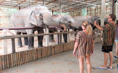 Excursão de 20 dias pelo Vietnã Camboja e Tailândia