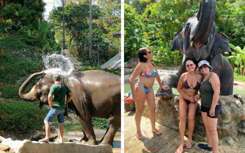 Exploração do Vietnã e Tailândia em 17 Dias