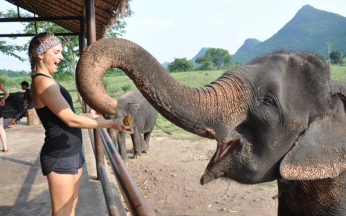 Pacote de Viagem para Tailândia por 5 Dias de Aventura