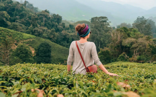 Maravilhas da Malásia: Exploração de 12 Dias de Kuala Lumpur a Langkawi