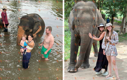 Pacote Completo Bali Tailândia e Vietnã em 16 Dias