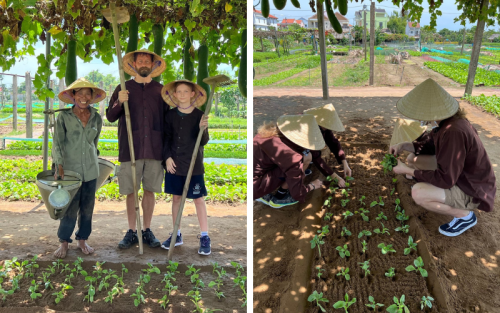 Roteiro Mágico Vietnã Tailândia e Singapura 22 Dias